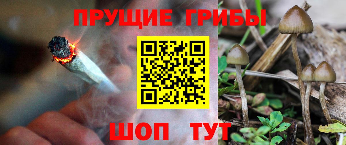 Псилоцибиновые грибы MAGIC MUSHROOMS  Вход с VPN  Россошь 