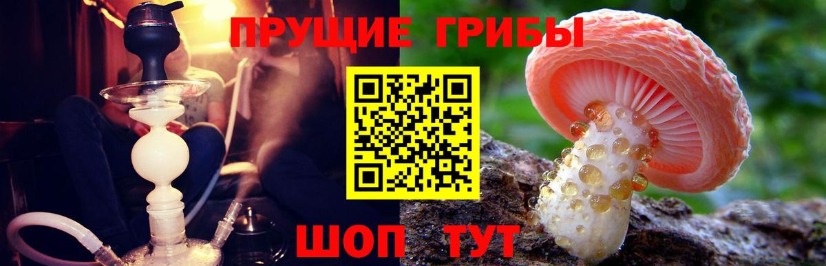 Псилоцибиновые грибы Magic Shrooms Россошь